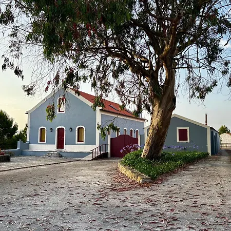 Quinta Das Soizas - Sao Martinho * Alfeizerão
