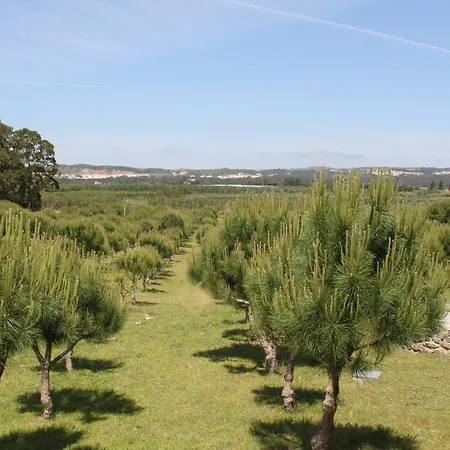 Quinta Soizas - Sao Martinho
