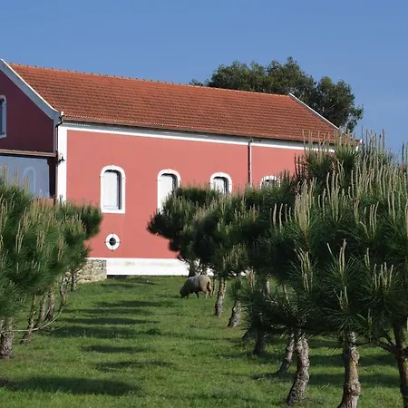 Quinta Soizas - Sao Martinho *