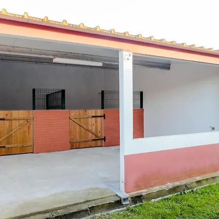 Quinta Soizas - Sao Martinho * Alfeizerao