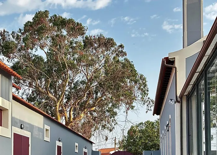 Quinta Soizas - Sao Martinho * Alfeizerão