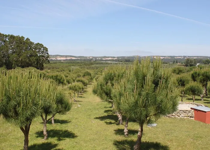 Quinta Soizas - Sao Martinho